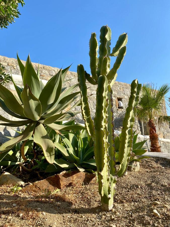Sensus Mykonos Διαμέρισμα Καλαφάτη Εξωτερικό φωτογραφία